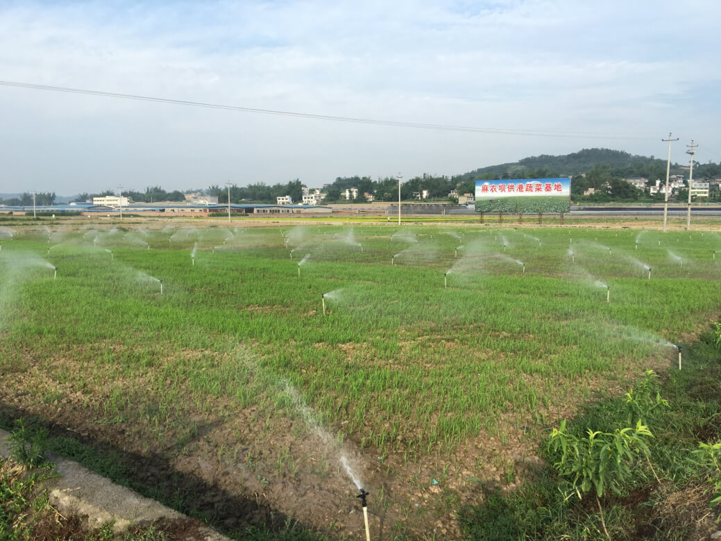 港峰蔬菜基地土壤修復(fù)項目