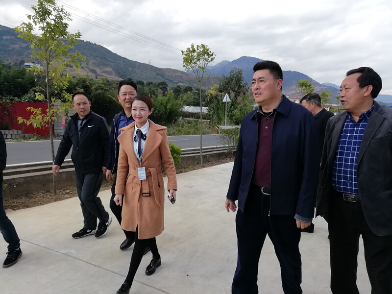 涼山州委書記林書成在德昌供港果蔬基地調(diào)研