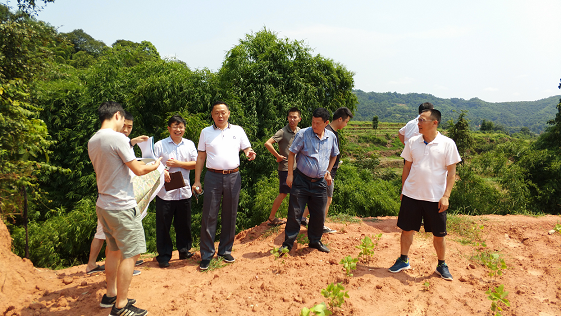 禹泰德集團(tuán)與英利國(guó)際公司進(jìn)行戰(zhàn)略合作調(diào)研